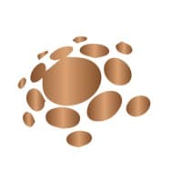 PLEXUS GLOBAL EVENTS